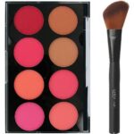 8 Colours Pressed Powder Blush Palette Face Bronzer/Contour Kit + LyDia® Angled Black Flawless Face Blush/Powder Makeup Brush
