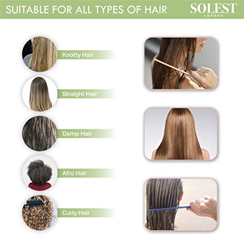 Shower Comb with Hanging - Detangler Wide Tooth Comb - Wide Tooth Hanging Comb Set of 3 - Large Wet Comb with Hook - 3 Colour Antistatic Detangli