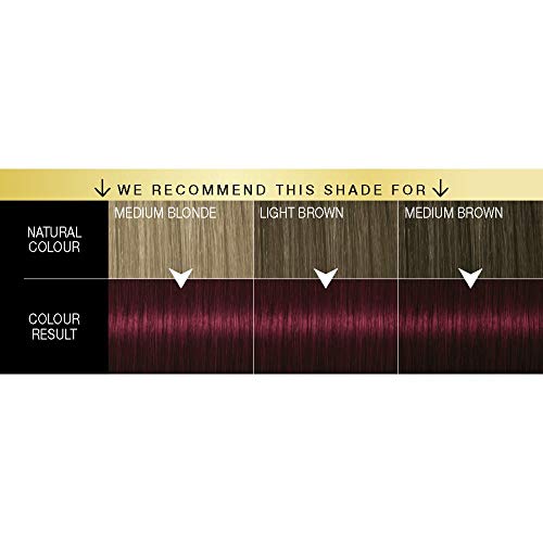 Schwarzkopf Oleo Intense Red Hair Dye, 3-Pack Permanent Oil Colour, No Ammonia, Covers Greys, Burgundy Red 4-23