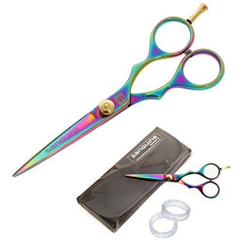 Professional Hair Cutting Scissors, Hairdressing Scissors, Ultra-Sharp Japanese Convex Blades, Titanium Coated - 5.5 inch, Includes Case