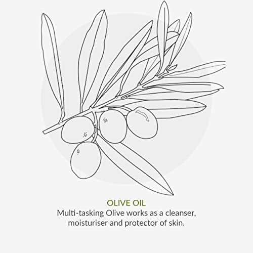 Green People Scent Free Conditioner 200ml | Natural & Organic Sensitive Conditioner | Ultra-Gentle Conditioner for All Hair Types & Sensitive Sca