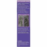 Just For Men Touch of Grey Dark Brown Hair Dye For a Natural Salt & Pepper Look, T45