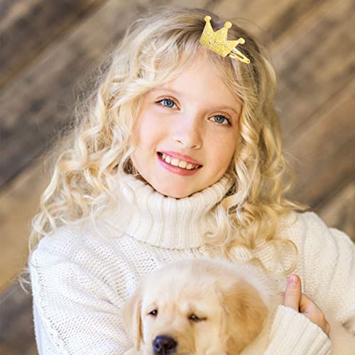 KEYRI 24 Pcs Hair Clips Girls Hair Accessories Star Butterfly Crown Heart Shaped Hair Barrettes Women Hair Pins Sparkly Cute Hair Clips for Girls