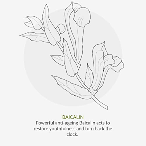 Green People Scent Free Eye Cream 10ml | Natural & Organic Sensitive Eye Cream | Unperfumed Anti-Ageing Moisturiser for Sensitive Skin | Paraben