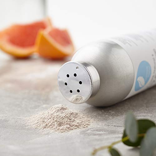 Corinne Taylor Dry Shampoo Powder, 100% Natural, Vegan, Cruelty Free, Organic, Plastic Free, Zero Waste - 85 g