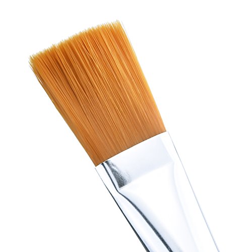 Facial Mask Brush Makeup Brushes Cosmetic Tools with Clear Plastic Handle, 5 Pack (Silver)