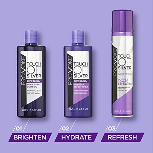 PRO:VOKE Touch of Silver Intensive Conditioner - for Blonde, Platinum, White or Grey Hair - 200 ml