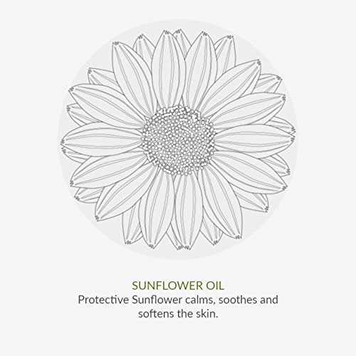 Green People Scent Free Conditioner 200ml | Natural & Organic Sensitive Conditioner | Ultra-Gentle Conditioner for All Hair Types & Sensitive Sca