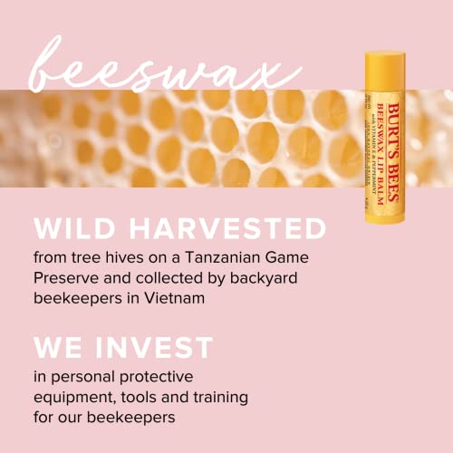 Burt's Bees Lip Balm Multipack, Chapstick Lip Balms With Honey & Beeswax, Duo Value Pack, 2x4.25g