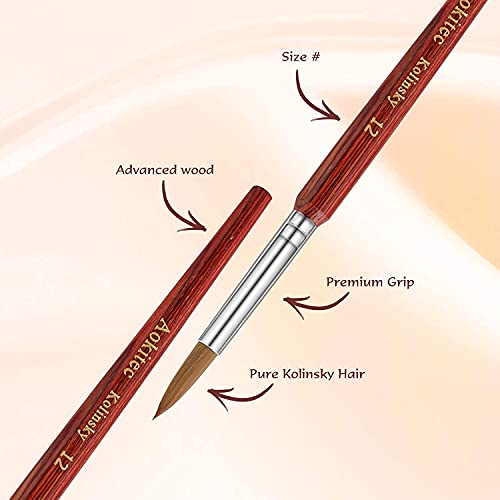 Aokitec Kolinsky Acrylic Nail Brush #12 Oval Crimped Sable Acrylic Brush for Nails Wood Nail Art Brush for Acrylic Application Manicure Tool