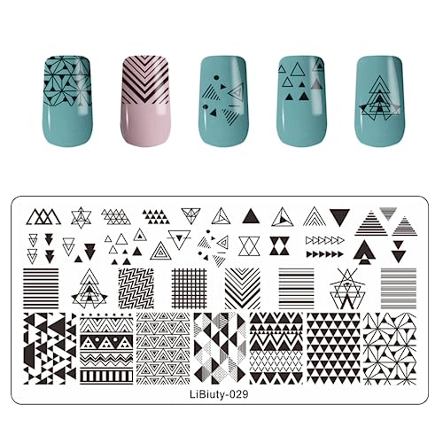 JEEWHEET 6 Nail Art Stamping Plates with Stamper and Scraper - Flowers, Geometric Patterns Nail Template for Nail Salon Designs - Nail Image Stam