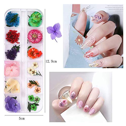 Kalolary Butterfly Nail Sequins,Nail Dried Flowers, Shiny Foil Nail Shavings, Nail Art Rhinestone with Tweezers Nail Art Rhinestone Picker Pencil