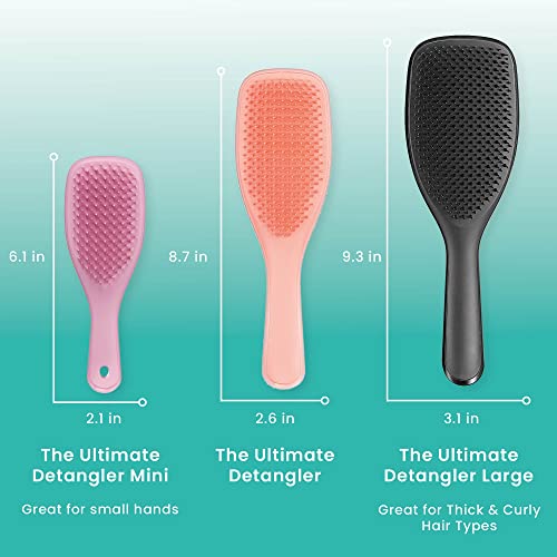 Tangle Teezer | The Wet Detangler Hairbrush for Wet & Dry Hair | For All Hair Types | Eliminates Knots & Reduces Breakage | Blush Glow Frost