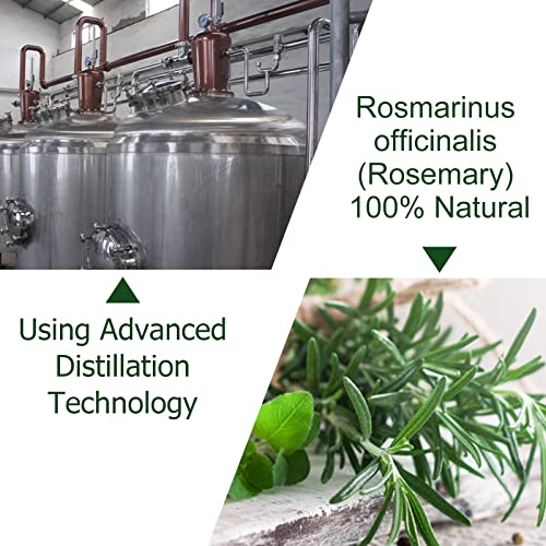 Rosemary Essential Oil for Hair Growth & Skin Care, Improve Hair Loss and Nourishes Scalp for Men and Women, Rosemary Oil for Hair Growth, Hair G