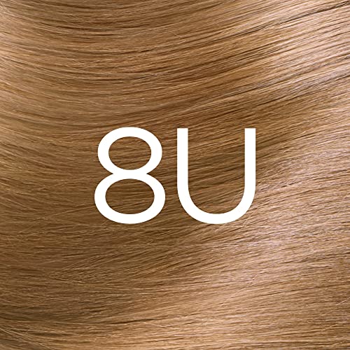 L'Oréal Paris Excellence Crème Permanent Hair Dye, Radiant At-Home Hair Colour with up to 100% Grey Coverage, Pro-Keratin, Up to 8 Weeks of Colou