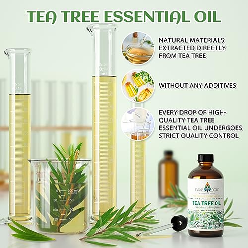 EVOKE OCCU Tea Tree Essential Oil 118ml, Pure Tea Tree Oil for Diffuser Skin Hair Body Nail Care- 4 FL Oz