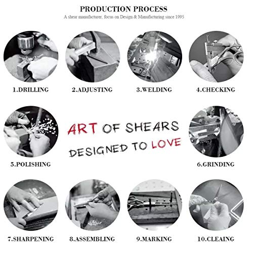 Dream Reach 6" Professional Hair Cutting Scissors Japan 440C Steel Thinning Scissor for Men/Women Cutting for Salon/Barber/Home (Straight Scissor