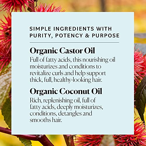 Sky Organics Curl Care Bio-Based Detangling Conditioner for Hair USDA Certified Bio-Based to Detangle, Quench & Soften Curls, 12 fl. Oz