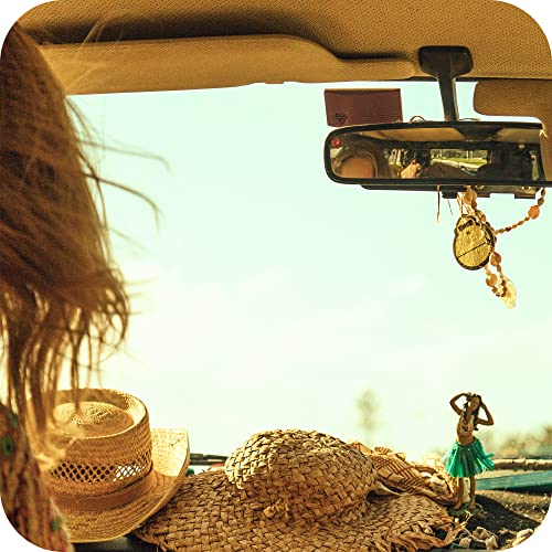 Sun Bum SPF 15 Moisturizing Browning Oil, Broad Spectrum UVA/UVB Protection Tanning Oil, Vegan Formula Made With Coconut Oil, 250ml