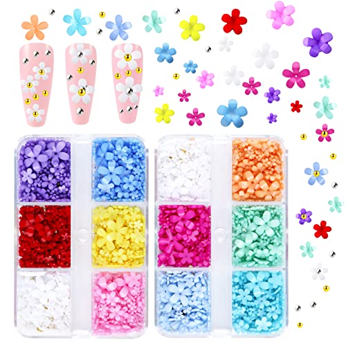KINBOM 2 Boxes 3D Flowers for Nails with Small Caviar Beads, Flat Back 3D Acrylic Flower Nail Charms Colorful 3D Floral Nail Charms Nails Designs