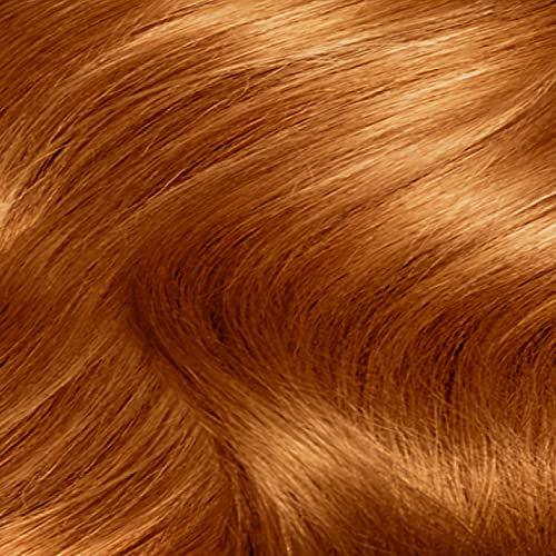 Clairol Nice'n Easy Crème, Natural Looking Oil Infused Permanent Hair Dye, 8WR Golden Auburn (Pack of 2)