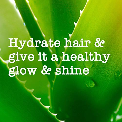 Maui Moisture Vegan Shampoo for Dry Hair, Coconut & Aloe Vera, 385 ml