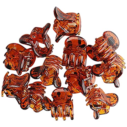 Hair Claw Clip 12 Piece Plastic Mini Claw Hair Clips Small Hair Claw Clips Mini Jaw Clips Hair Accessories for Girls and Women