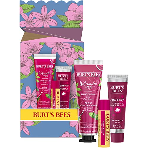 Burt's Bees Essential Gift Set, Lip Balm, Hand Salve, Body Lotion, Foot Cream & Face Cleanser, 5 Travel Size Products