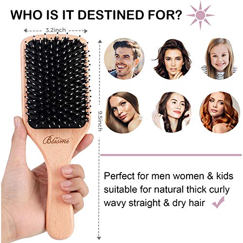 Bsisme Boar Bristles Hair Brush,Detangling Hairbrushes for Long Short Curly Straight Fine Hair,Women Men Boys Girls Hairbrush (Normal square)