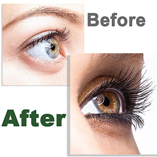 Castor Oil,2 Packs w/Free Lash&Brow Brushes&E-Book,100% Pure Hair Tonic Oil for Eyebrow Lash Eyelash Beard Growth Serum Dry Hair Skin Care Essent