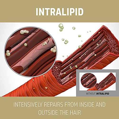 Goldwell Dualsenses Rich Repair Restoring Shampoo 250ml