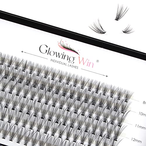 Glowingwin Individual Lashes Cluster Lashes 120 PCS Natural Look False Eyelashes Individual Soft DIY Lash Extensions At Home(20D Mix8-14mm 0.07C