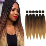 WIGENIUS Pre-stretched Braiding Hair Ombre Brown 26 inch 6 Packs Professional Kanekalon Synthetic Fiber Itch Free Crochet EZ Braids Yaki Texture