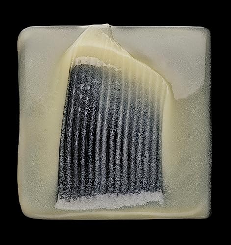 L’Oréal Professionnel | Shampoo, With Protein And Gold Quinoa for Dry And Damaged Hair, Serie Expert Absolut Repair