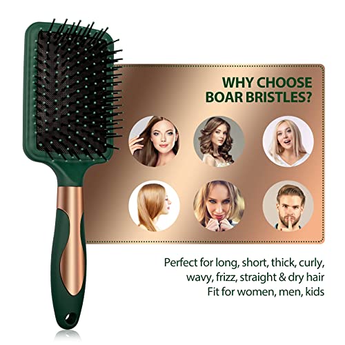 Hair Brush Set Anti Static Massage Oval Comb Round Hair Brush Vent Hair Brush Detangling Brush Paddle Brush for Women Men