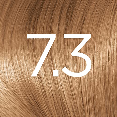 L'Oréal Paris Excellence Crème Permanent Hair Dye, Radiant At-Home Hair Colour with up to 100% Grey Coverage, Pro-Keratin, Up to 8 Weeks of Colou