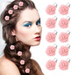 10 Pcs Mini Hair Clips,Flower Hair Claws Clips,Small Hair Jaw Clips,Hair Accessories for Women Girls Kids,Cute Hair Barrettes,Hair Claw Pins Clam