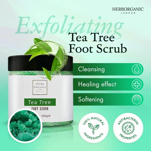 HerbOrganic Antibacterial Tea Tree Foot Scrub – 200 g – Exfoliates, Moisturizes and Cleanses – Helps with Corns, Calluses, Athlete Foot, Jock Itc