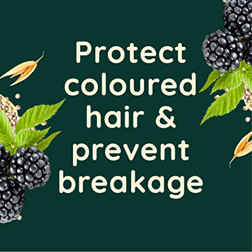 Aveeno Colour Protect Blackberry and Quinoa Scalp Soothing Conditioner for Colour Treated Hair 300ml.