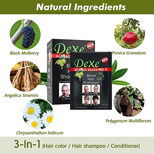 Duoffanny Hair Colour Black Hair Shampoo Instant Hair Dye Semi-Permanent Portable Hair Color Black Hair Coloring Easy to Use | 3-In-1 | Natural I