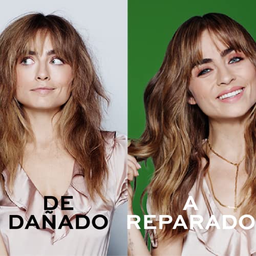 John Frieda Detox & Repair Masque 250 ml, Intensive Deep Conditioner for Dry, Stressed and Damaged Hair, Nourishing Hair Mask with Cannabis Sativ