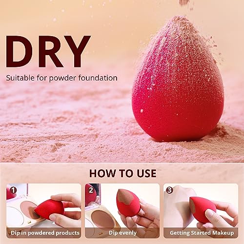 BEAKEY Make up Sponges, Non-Latex, 5 Pcs Soft Foundation Sponge, Makeup Sponge for Foundation, Liquid, Creams and Powders (Multi-Color)