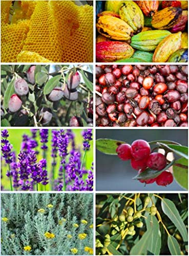 Polybalm Topical Nail Application | Scientifically Tested and Proven | Only Pure Plant Based Ingredients | Made by a Trusted UK Company | Nail He