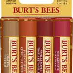 Burt’s Bees Lip Balm Gift Set, Chai Tea, Pumpkin Spice, Vanilla Maple, Pomegranate, Lip Balm Multipack, 4x4.25g