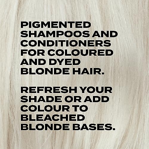 BLEACH LONDON Smoky Shampoo - Smoky Grey Rinse, Vegan, Cruelty Free, Colour Protected Clean, Colour Depositing Formula, 250 ml