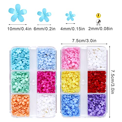 KINBOM 2 Boxes 3D Flowers for Nails with Small Caviar Beads, Flat Back 3D Acrylic Flower Nail Charms Colorful 3D Floral Nail Charms Nails Designs