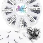 Pre Made Fan Volume Eyelash Extensions 10D 0.07mm D Curl 500 Fans 9-16mm Mixed Tray Premade Fans Loose Volume Lash Extensions Handmade Promade Lo