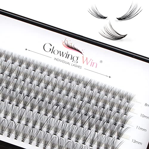 Glowingwin Individual Lashes Cluster Lashes 120 PCS Natural Look False Eyelashes Individual Soft DIY Lash Extensions At Home(20D Mix8-14mm 0.07C