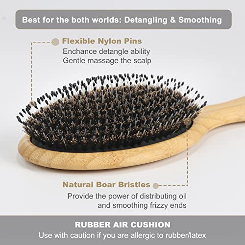 BESTOOL Hair Brush, Boar Bristle Hair Brushes for Women men Kid, Boar & Nylon Bristle Brush for Wet/Dry Hair Smoothing Massaging Detangling, Ever