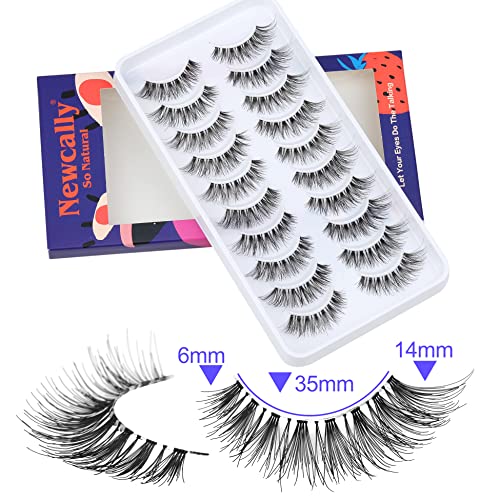 Newcally Eyelashes False Lashes Natural Look Fake Eye Lashes Wispy Strip 3D Long Fake Eyelashes 10 Pairs Multipack